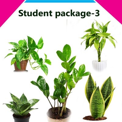 Student Package-3