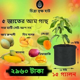 Mango package