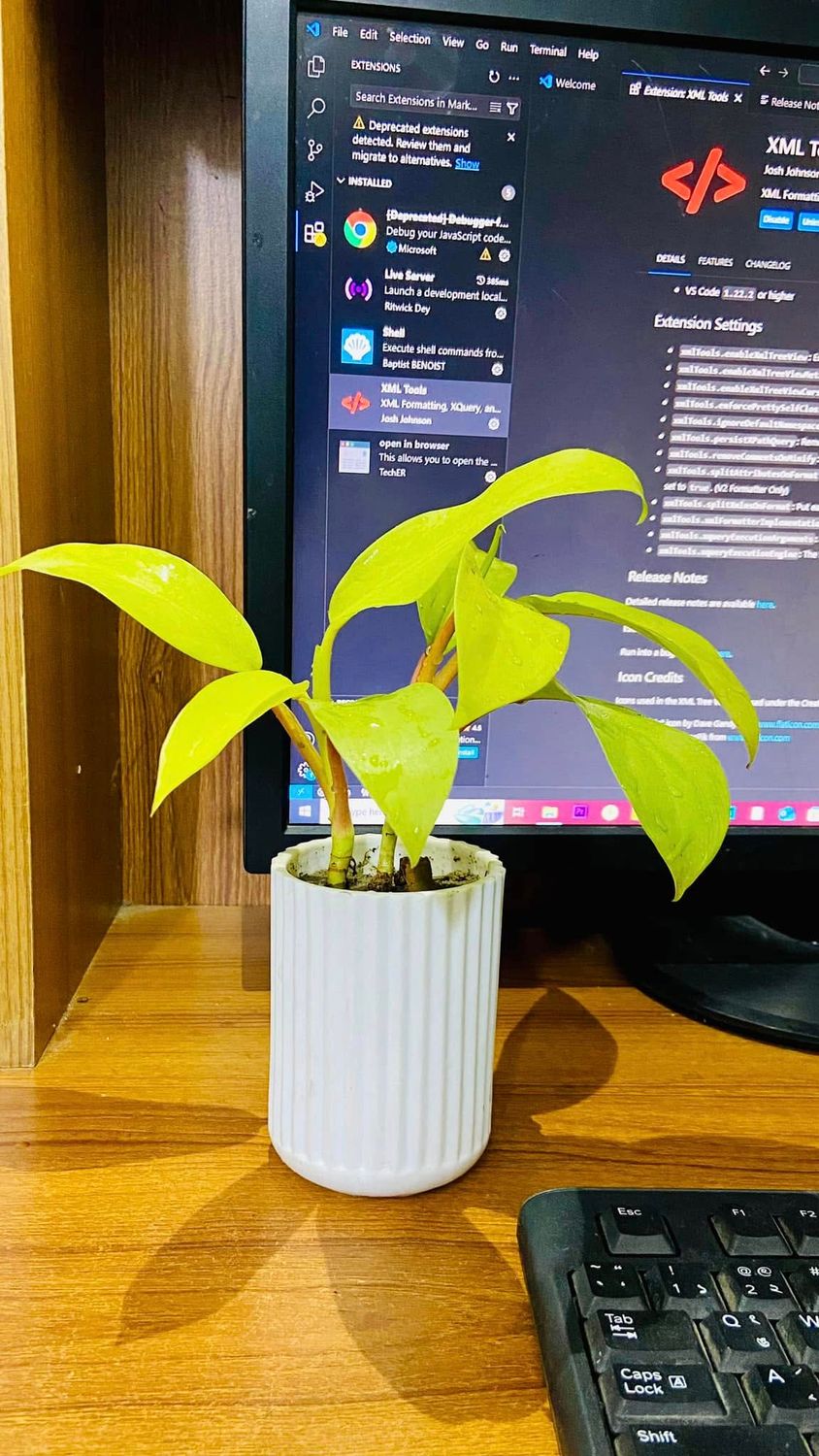 Lemon Lime with Ciramic Planter