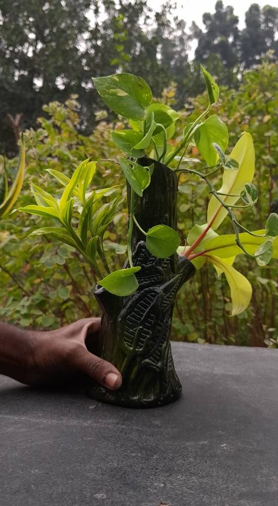 HandCrafted set (Money plant ,lemon lime ,Lucky bamboo)