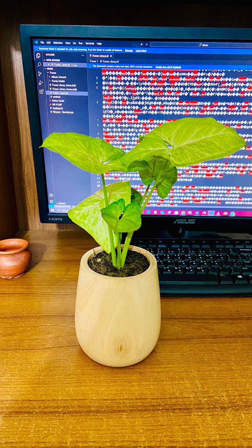 Arrowhead With Wood Pot