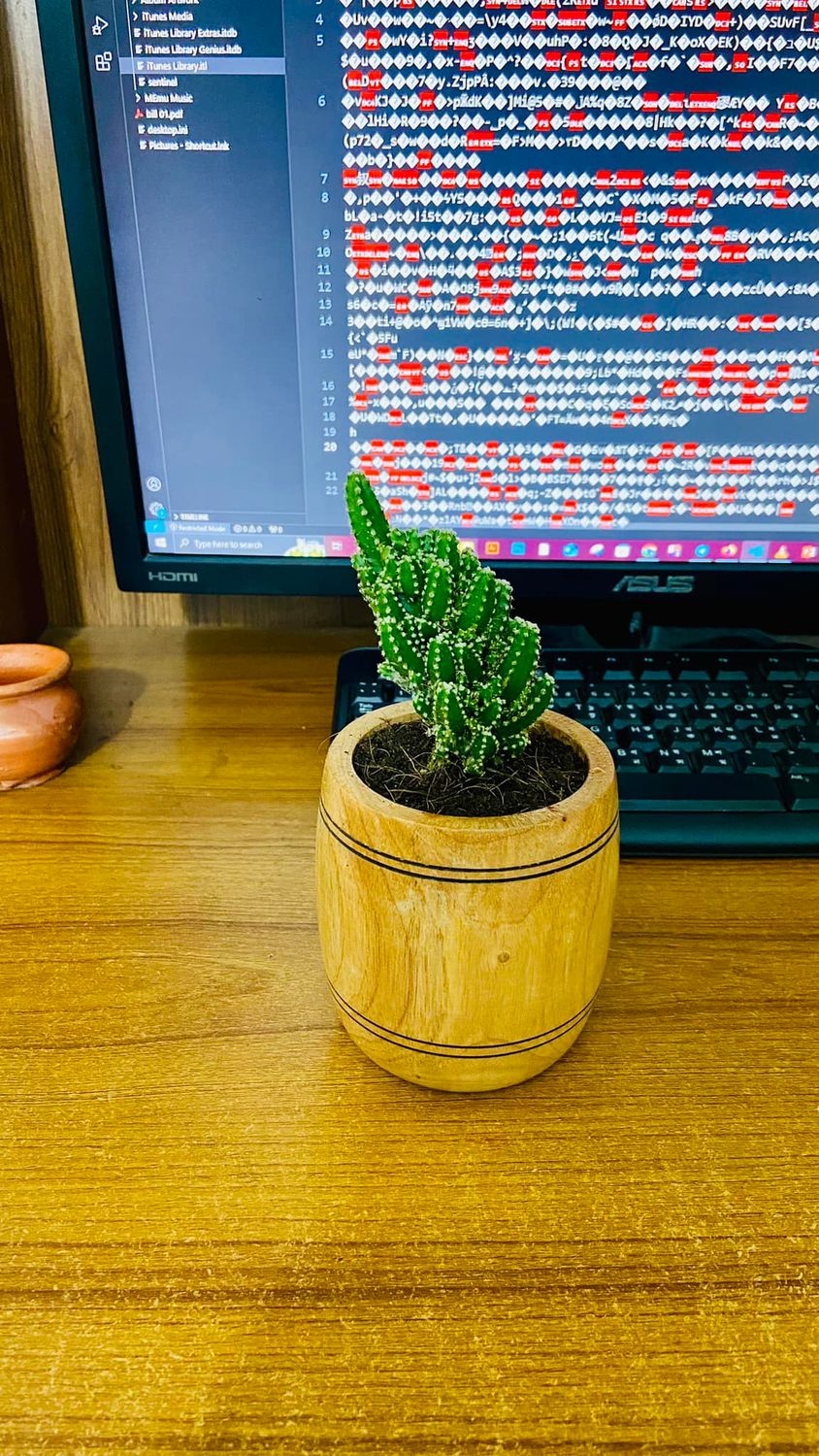 Cactus With Wood Pot