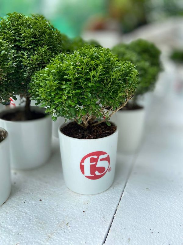 Corporate Gift