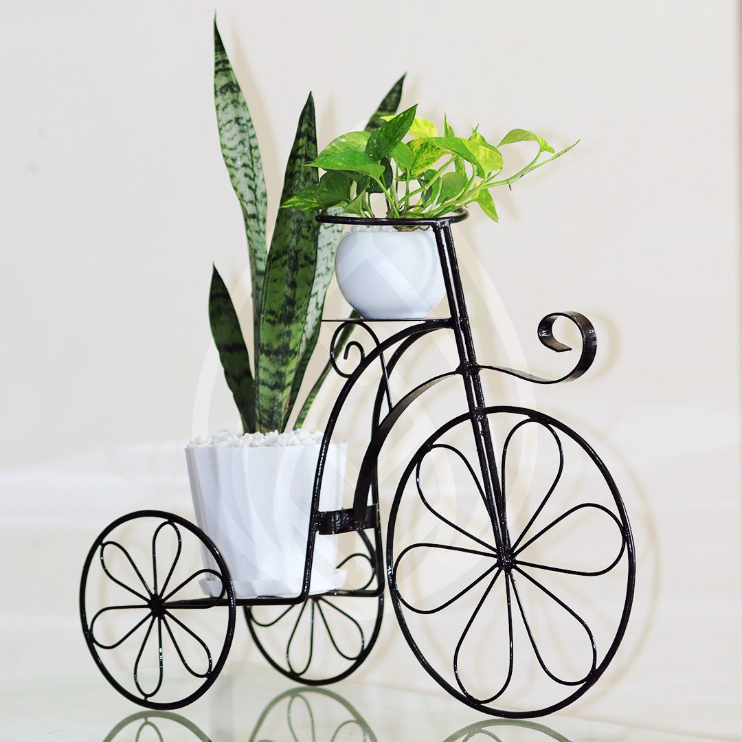 Rickshaw With Indoor plants