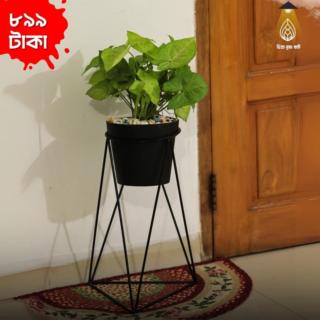 Plant with metal combo