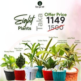 combo offer (8 plants)