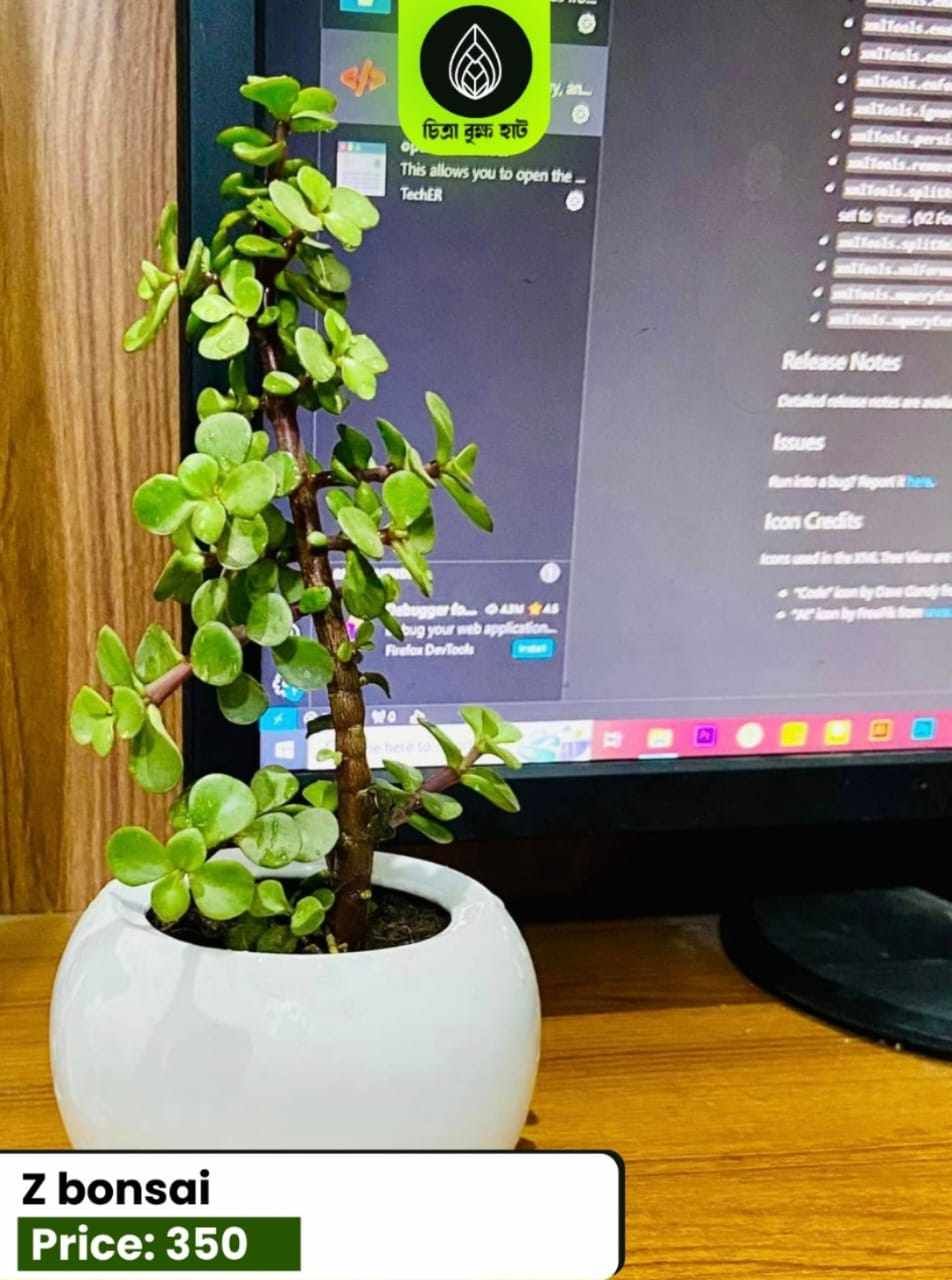 Z bonsai