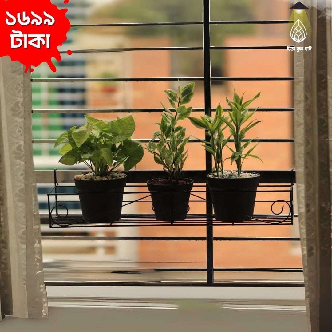 Plants with metal