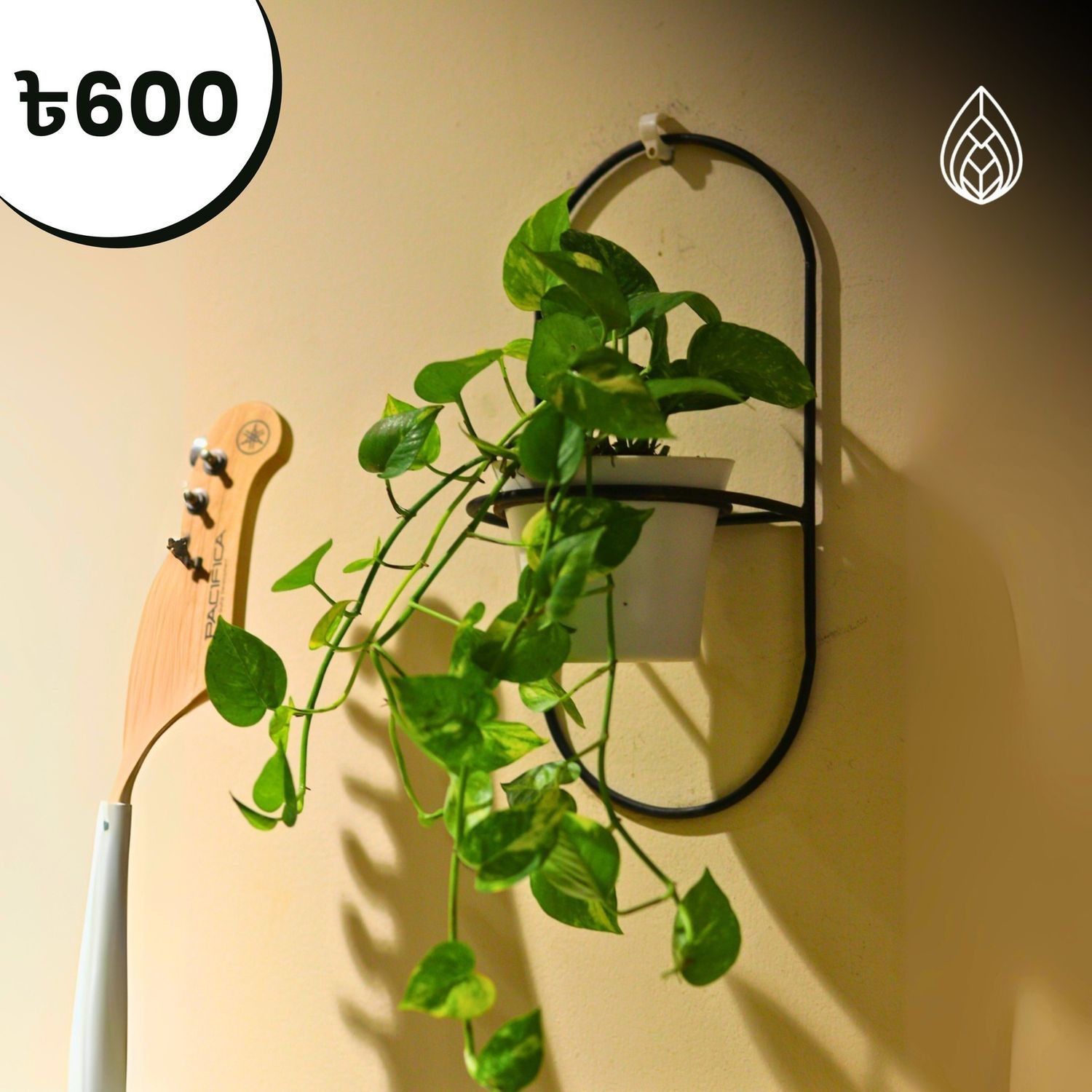 Metal money plant