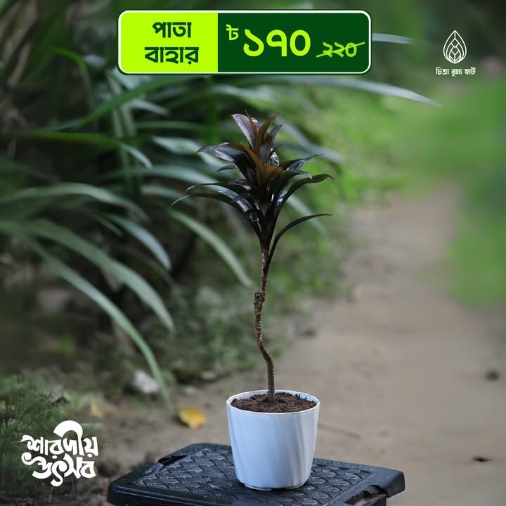 Patabahar