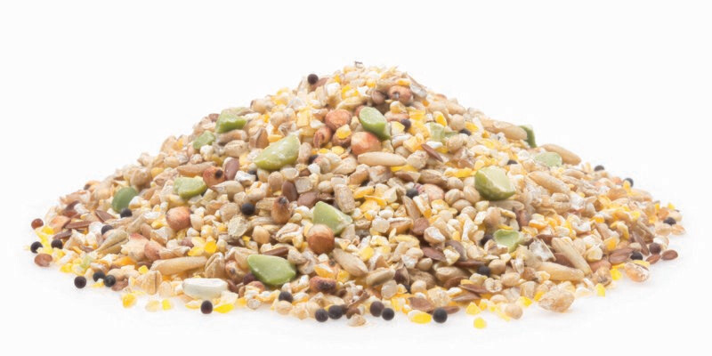 Spezialmischung Premium, 5 kg