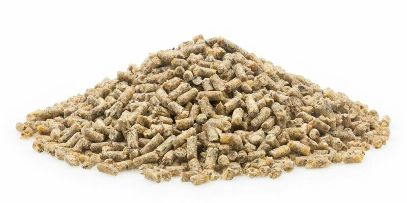 Wachtel Zucht + Haltung ZZH, 5 kg Wachtel Zucht + Haltung ZZH, 5 kg