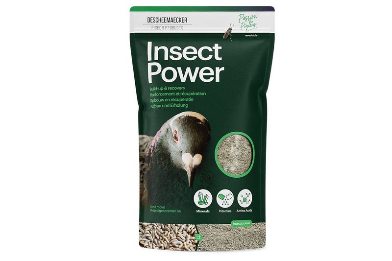 Insect Power