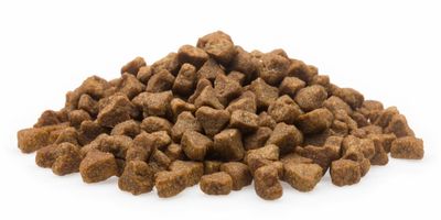 Vital Adult Premium, 5 kg