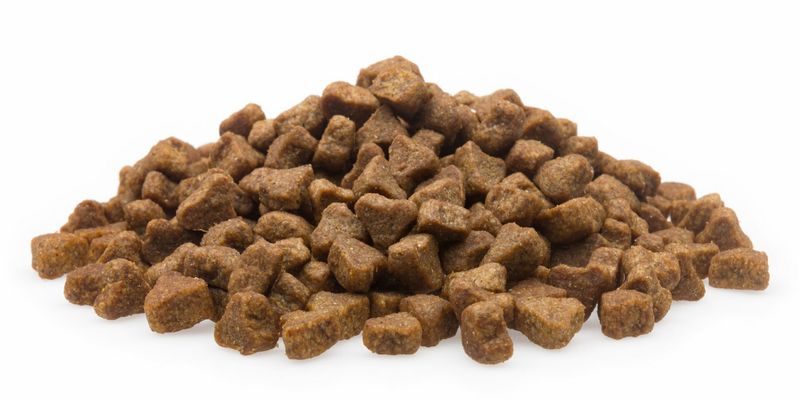 Vital Adult Premium, 5 kg
