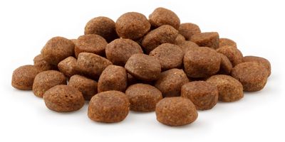 Pur Lachs Premium, 12 kg Pur Lachs Premium, 12 kg