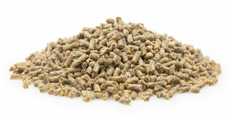 Kükenaufzucht Premium Pellet, 5 kg