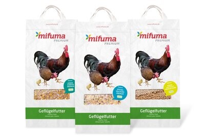 Küken-Paket Küken-Paket