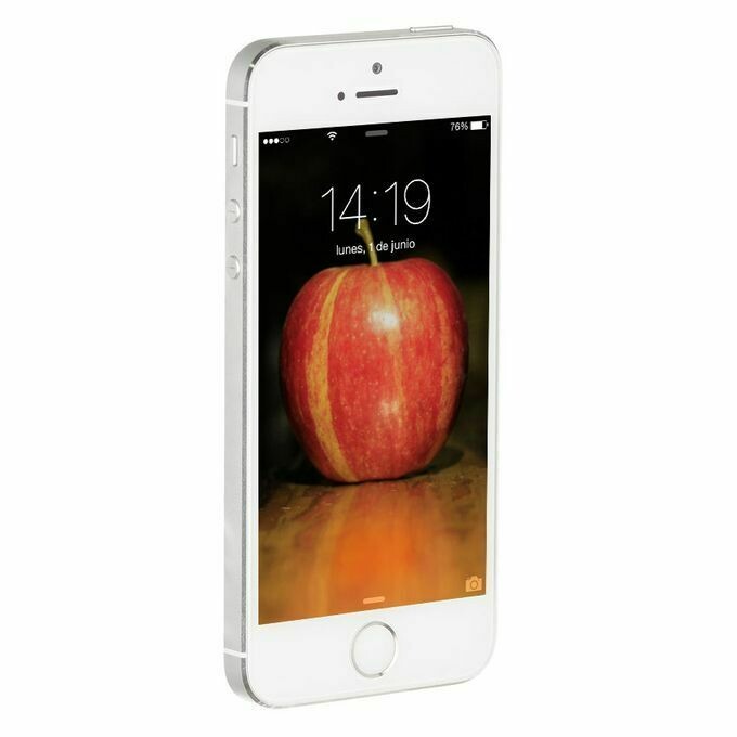 APPLE iPHONE 5s