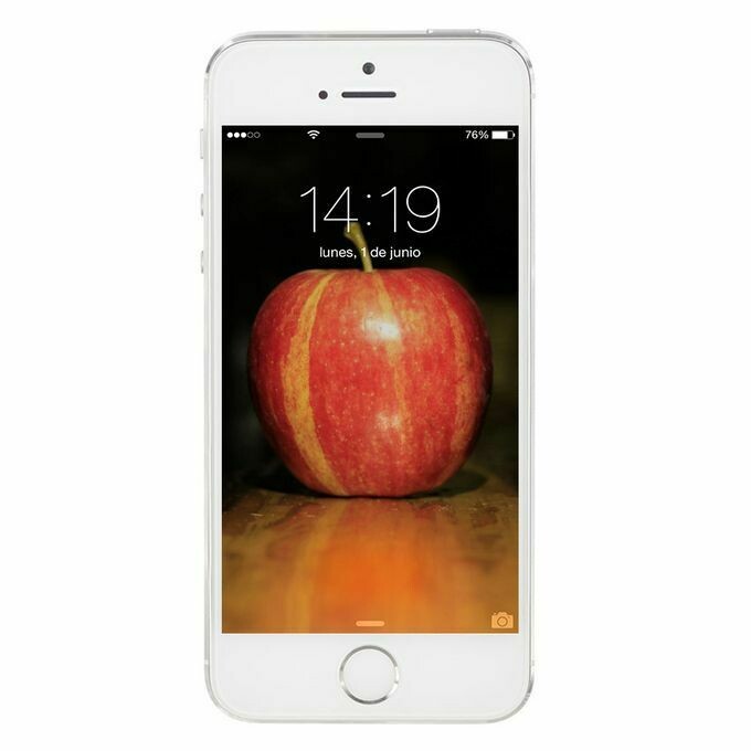 APPLE iPHONE 5s