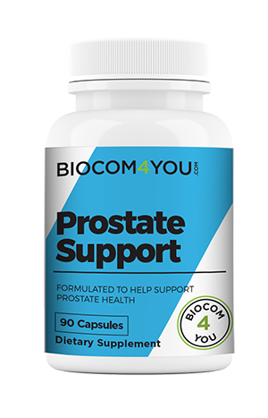Prostate Support