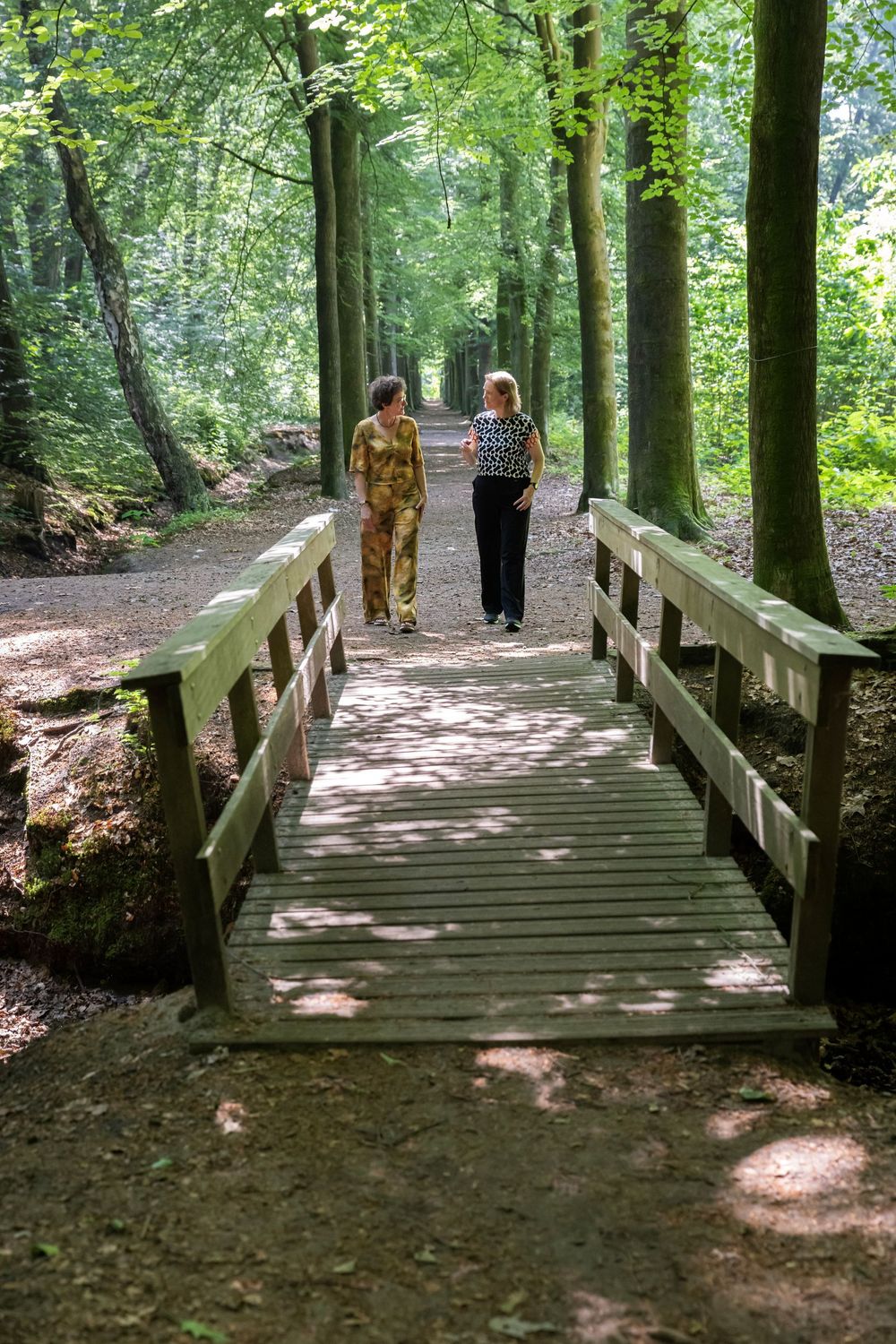 Zomercoaching - mini VIP dag