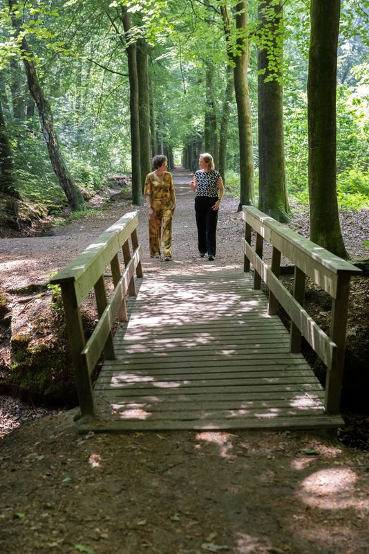 Zomercoaching - mini VIP dag