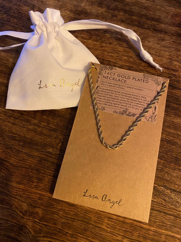 Gold Stainless Steel Rope Chain Necklace By Lisa Angel