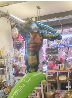 Ninja turtle balloon
