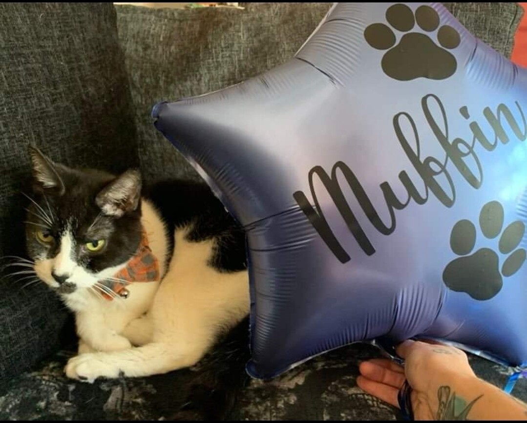 Personalised pet star balloon