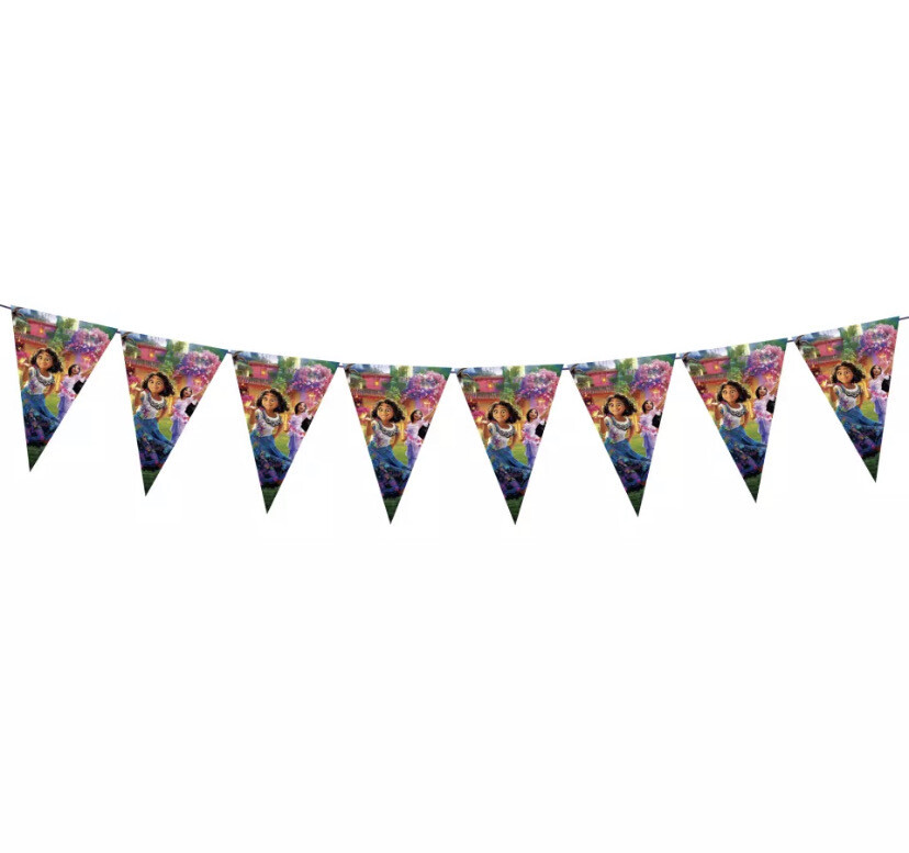 Encanto Triangle Bunting