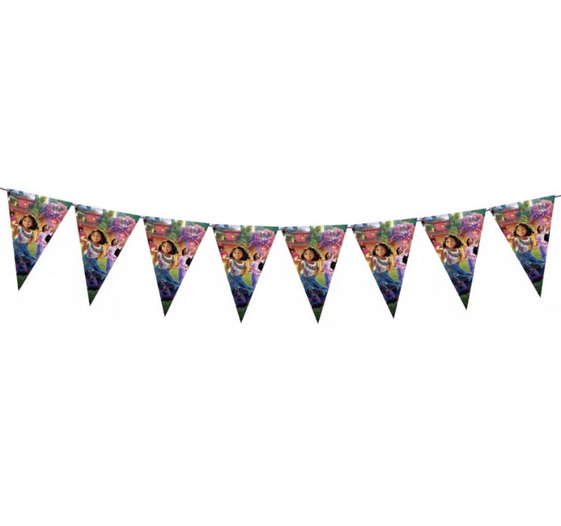 Encanto Triangle Bunting