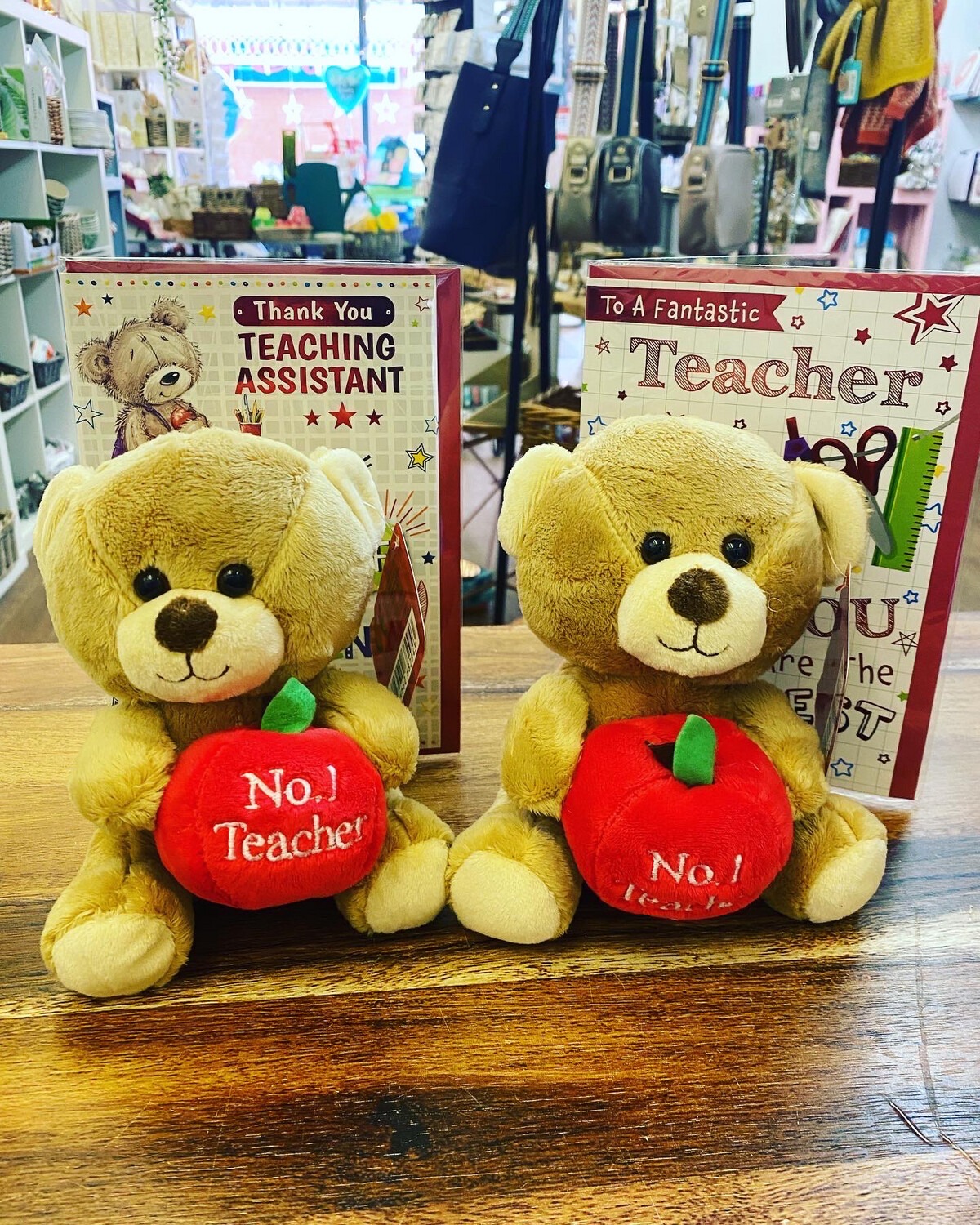 No1 Teacher Teddy