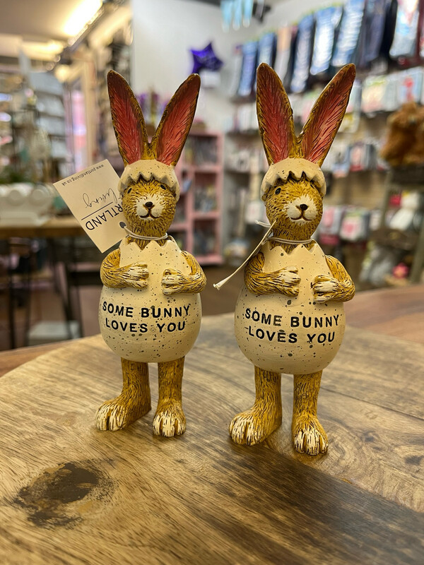 Resin Bunny In A Speckles Egg Costume Ornament”some Bunny Loves You”