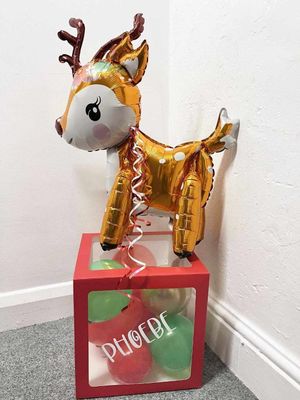 Reindeers box of balloons