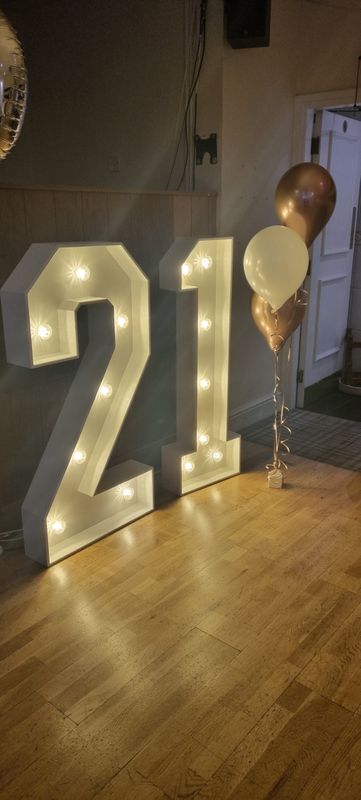 Number LED hire double didget (no balloons)