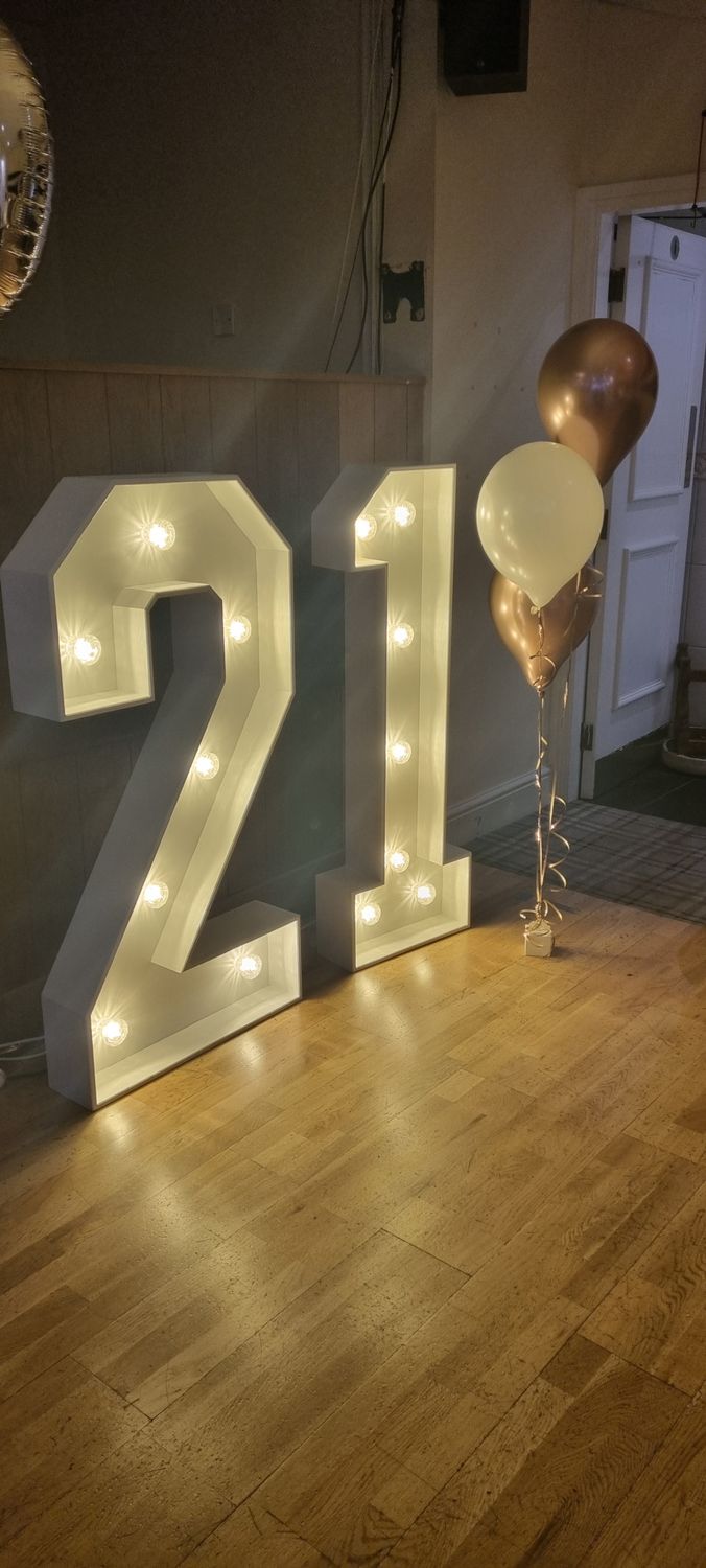 Number LED hire double didget (no balloons)