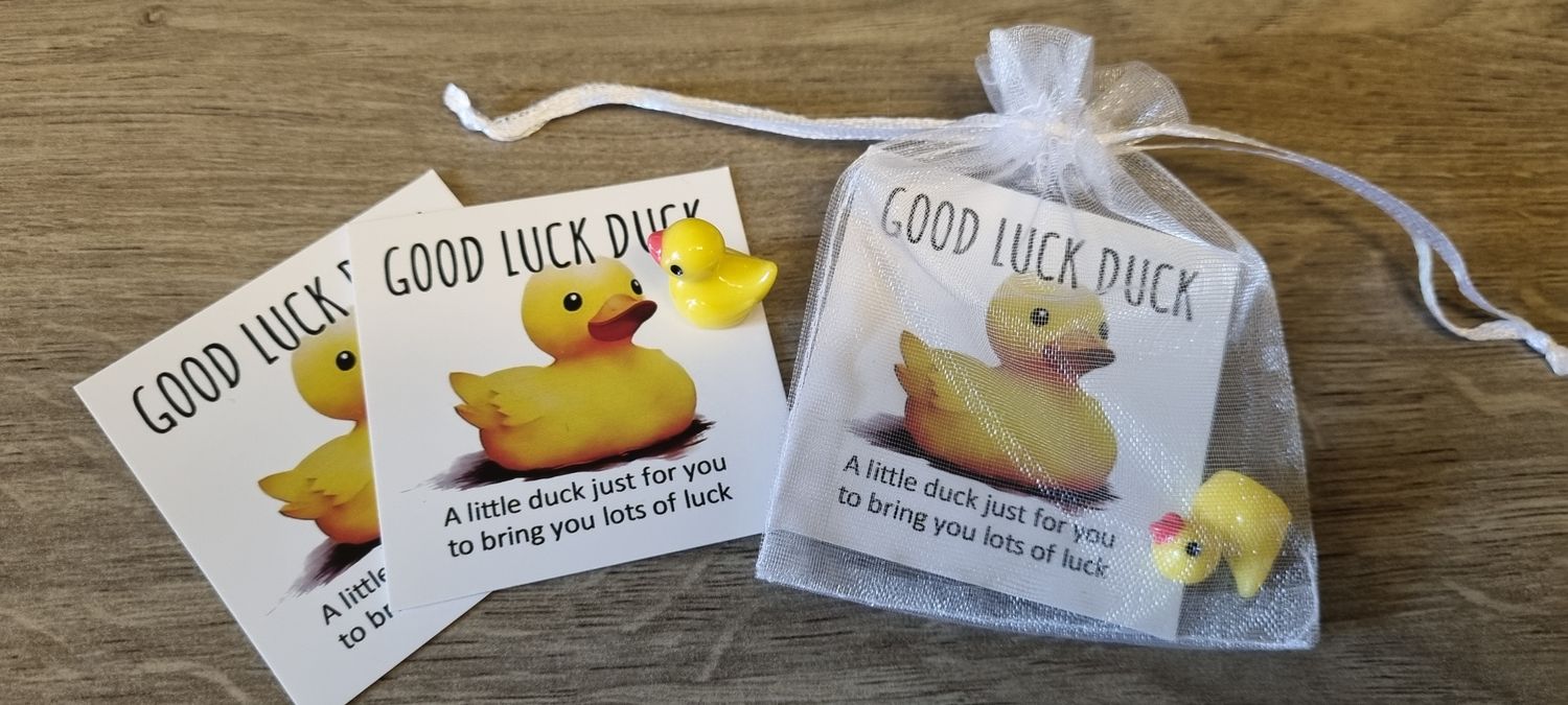 Good luck duck charm perfect for exams 