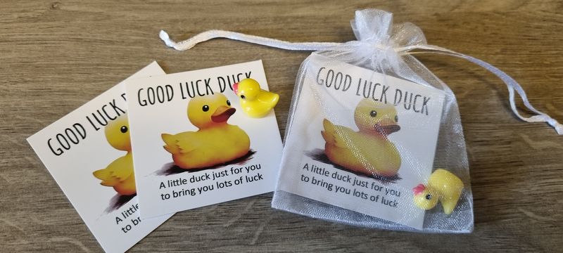 Good luck duck charm perfect for exams 