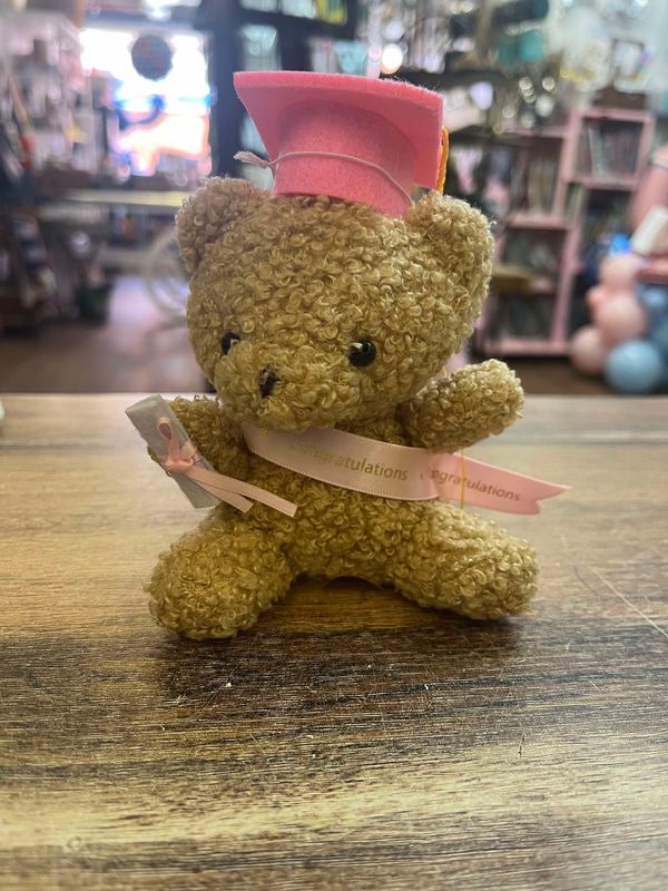 Graduation teddy bear, mini