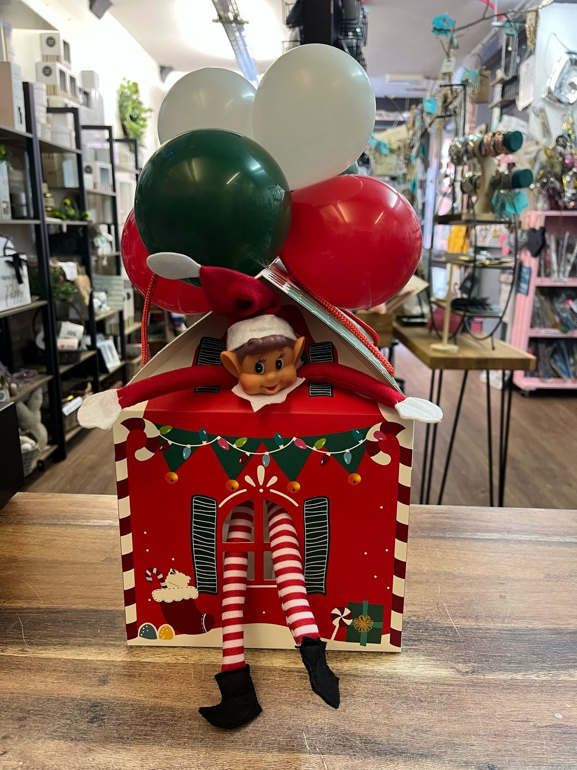 Elf In A House