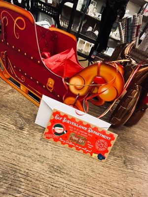 Elf Surveillance.. Nice List Certificate