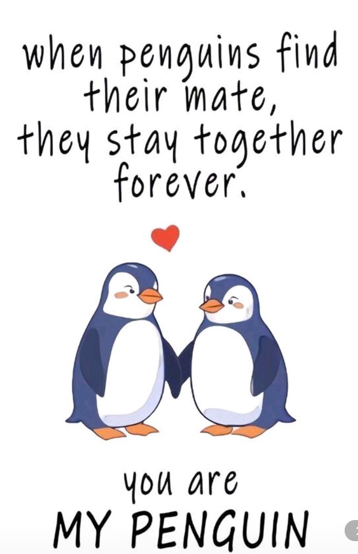 Valentines penguin card