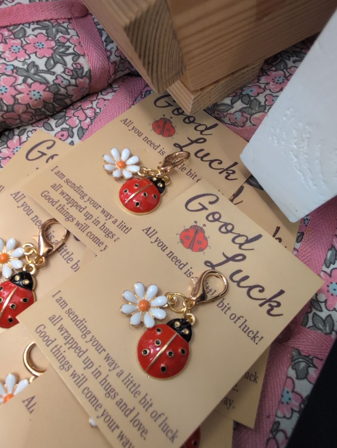 Good Luck In Your Exams ladybugs clips 