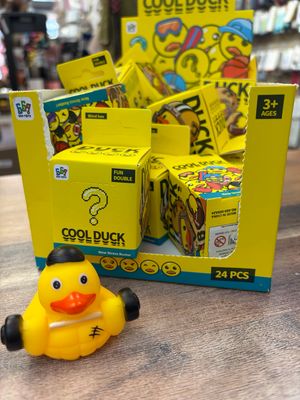 Boxed Surprise Sports Duck