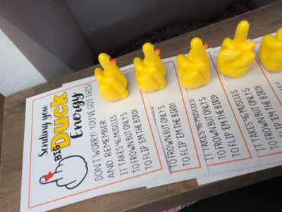 Sending you a big duck energy charm