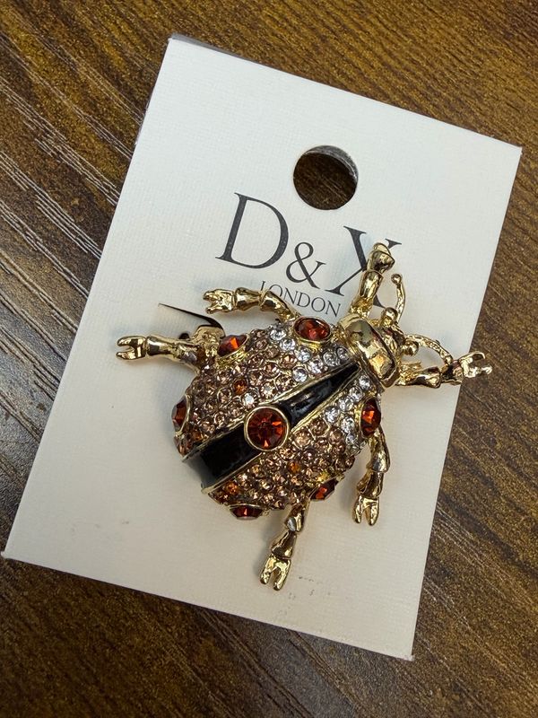 Stunning Beetle 🪲 Brooch By D&amp;X London
