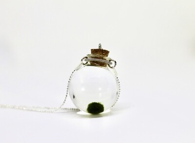 IDEE REGALO