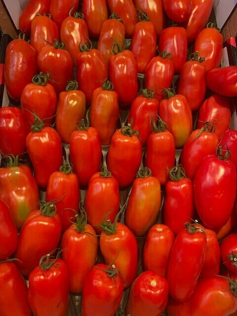 Tomaten - San Marzano -derzeit kein Postversand- Tomaten - San Marzano -derzeit kein Postversand-