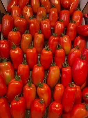 Tomaten - San Marzano -derzeit kein Postversand-